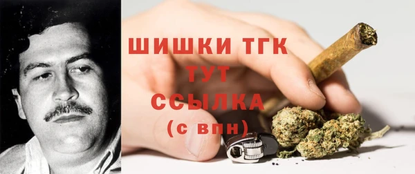Альфа ПВП Протвино