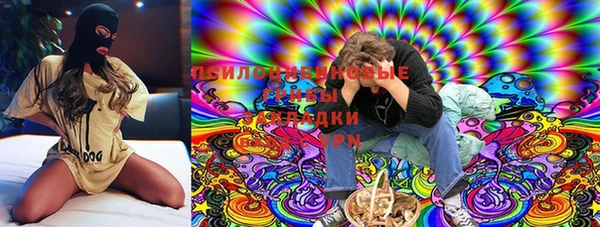 не бодяженный Приозерск