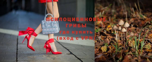 Альфа ПВП Протвино