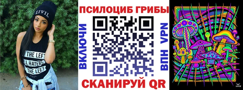 Купить где  Себеж  Галлюциногенные грибы Psilocybine cubensis 